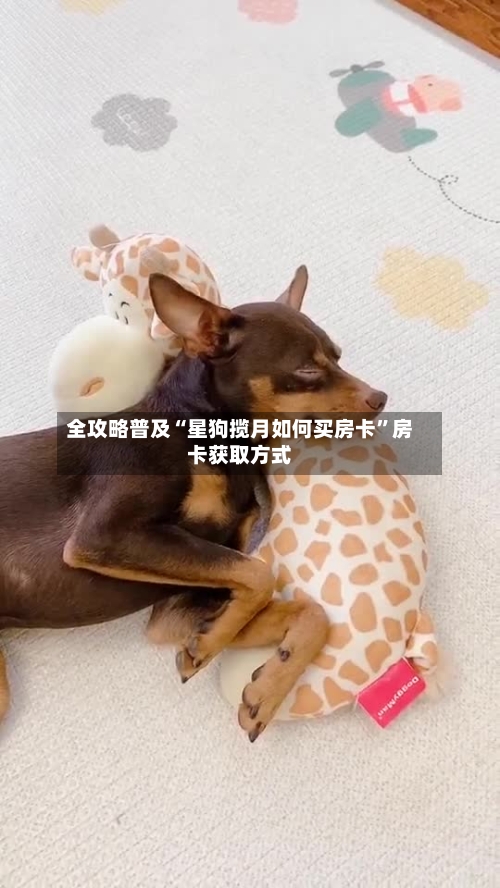 全攻略普及“星狗揽月如何买房卡”房卡获取方式-第2张图片
