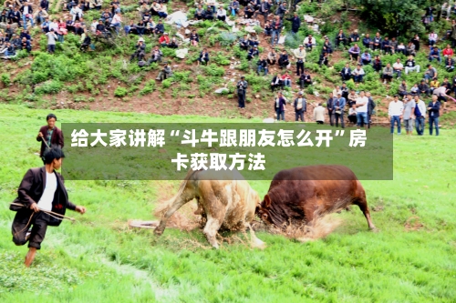 给大家讲解“斗牛跟朋友怎么开	”房卡获取方法-第2张图片