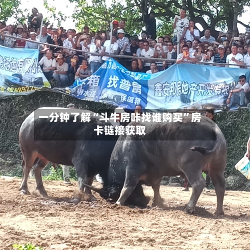 一分钟了解“斗牛房咔找谁购买”房卡链接获取-第3张图片