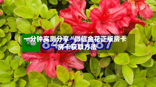 一分钟实测分享“微信金花正版房卡	”房卡获取方法-第2张图片