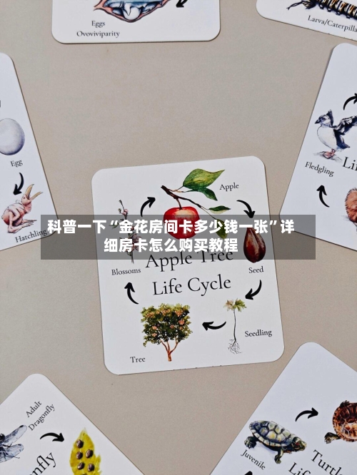 科普一下“金花房间卡多少钱一张”详细房卡怎么购买教程-第2张图片