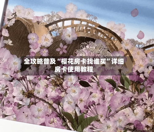 全攻略普及“樱花房卡找谁买”详细房卡使用教程-第2张图片