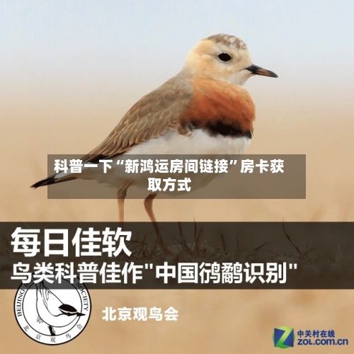 科普一下“新鸿运房间链接”房卡获取方式-第2张图片