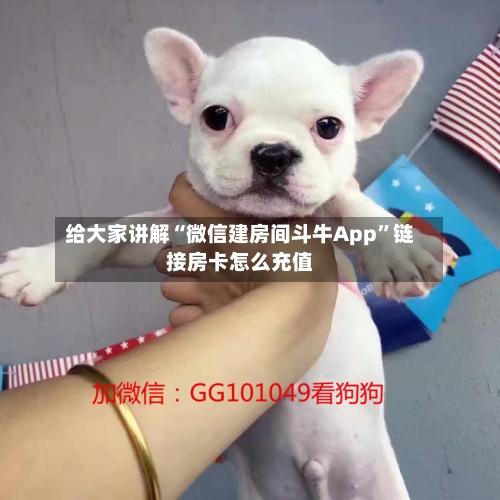 给大家讲解“微信建房间斗牛App”链接房卡怎么充值-第2张图片