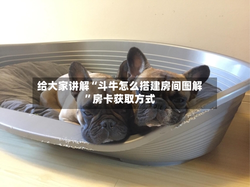 给大家讲解“斗牛怎么搭建房间图解”房卡获取方式-第2张图片