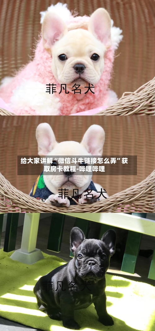 给大家讲解“微信斗牛链接怎么弄”获取房卡教程-哔哩哔哩-第2张图片