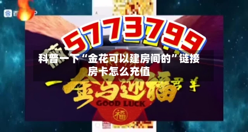 科普一下“金花可以建房间的”链接房卡怎么充值-第2张图片