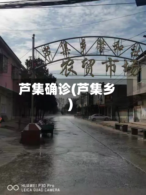 芦集确诊(芦集乡)
