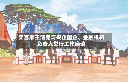 梁言顺王清宪与央企国企、金融机构负责人举行工作座谈-第2张图片