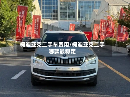 柯迪亚克二手车费用/柯迪亚克二手哪款最稳定-第2张图片