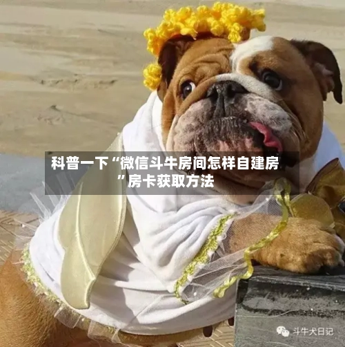 科普一下“微信斗牛房间怎样自建房	”房卡获取方法-第2张图片