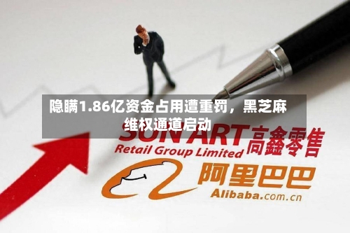 隐瞒1.86亿资金占用遭重罚，黑芝麻维权通道启动-第2张图片