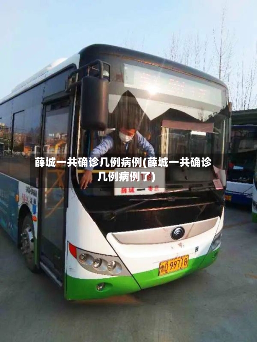 薛城一共确诊几例病例(薛城一共确诊几例病例了)-第2张图片