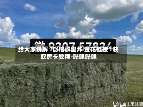 给大家讲解“微信群里炸 金花链接”获取房卡教程-哔哩哔哩-第3张图片
