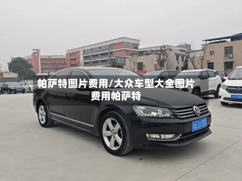 帕萨特图片费用/大众车型大全图片费用帕萨特