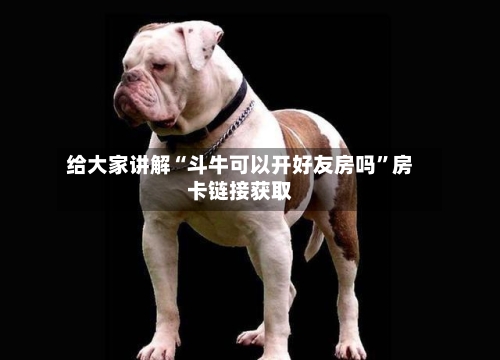 给大家讲解“斗牛可以开好友房吗”房卡链接获取-第2张图片