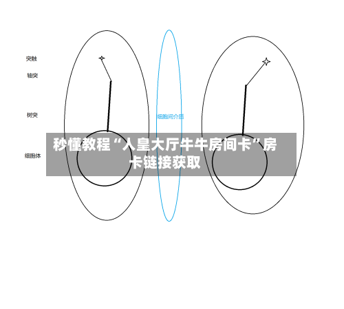 秒懂教程“人皇大厅牛牛房间卡”房卡链接获取-第2张图片