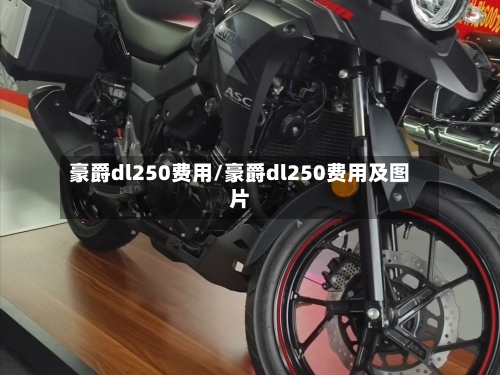 豪爵dl250费用/豪爵dl250费用及图片