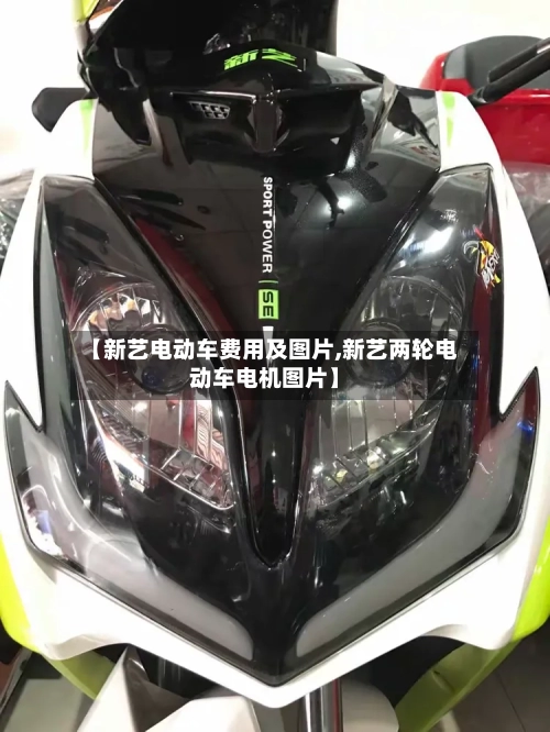 【新艺电动车费用及图片,新艺两轮电动车电机图片】