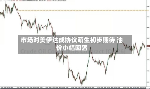 市场对美伊达成协议萌生初步期待 油价小幅回落-第2张图片