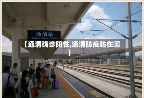 【通渭确诊阳性,通渭防疫站在哪】