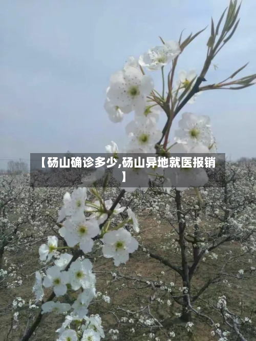 【砀山确诊多少,砀山异地就医报销】