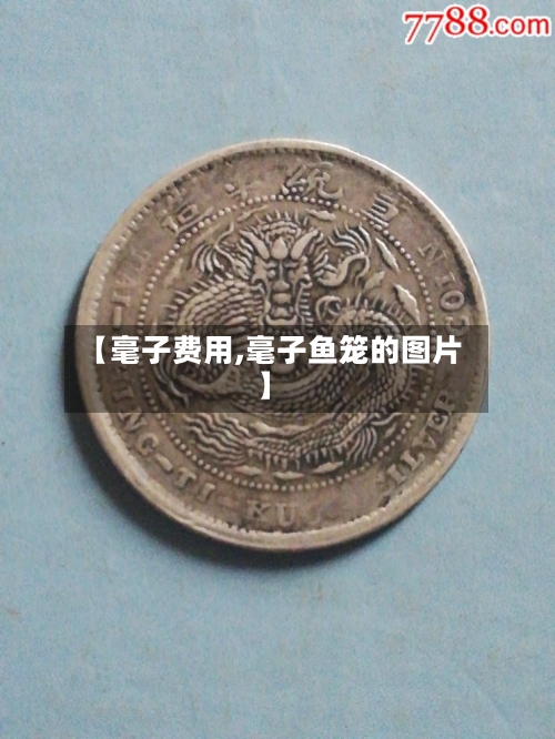 【毫子费用,毫子鱼笼的图片】