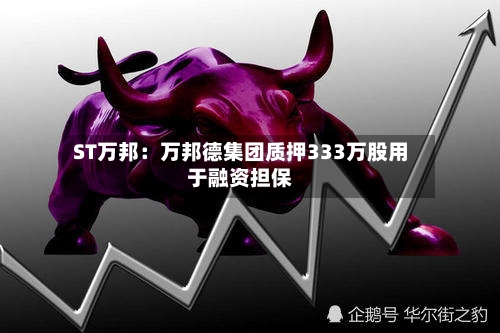 ST万邦:万邦德集团质押333万股用于融资担保-第2张图片