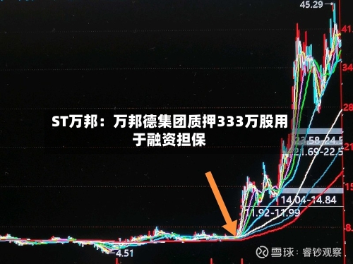 ST万邦:万邦德集团质押333万股用于融资担保-第3张图片