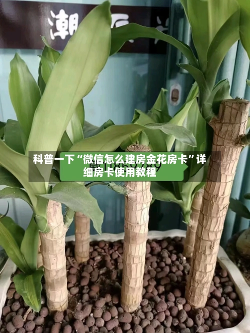 科普一下“微信怎么建房金花房卡”详细房卡使用教程