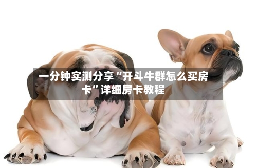 一分钟实测分享“开斗牛群怎么买房卡”详细房卡教程