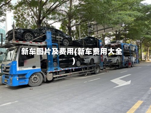 新车图片及费用(新车费用大全)