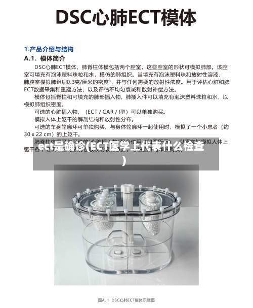 ect是确诊(ECT医学上代表什么检查)