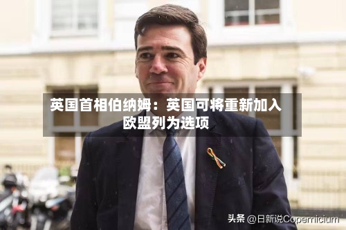 英国首相伯纳姆:英国可将重新加入欧盟列为选项-第2张图片