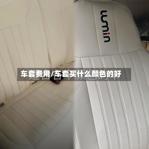车套费用/车套买什么颜色的好
