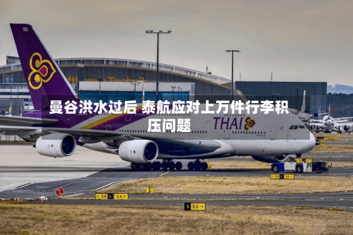 曼谷洪水过后 泰航应对上万件行李积压问题