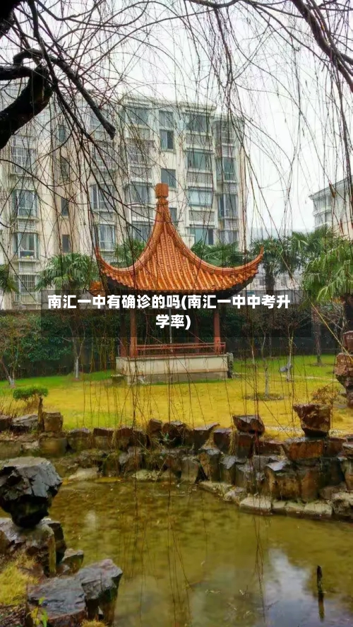 南汇一中有确诊的吗(南汇一中中考升学率)