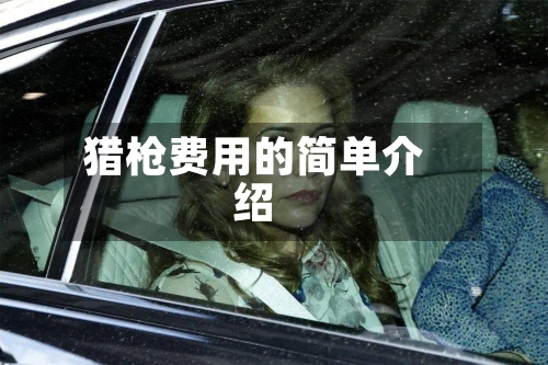 猎枪费用的简单介绍