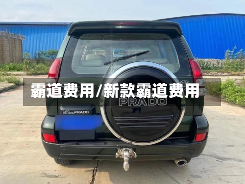 霸道费用/新款霸道费用-第2张图片