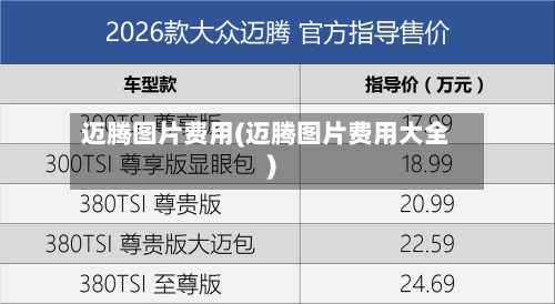 迈腾图片费用(迈腾图片费用大全)-第2张图片