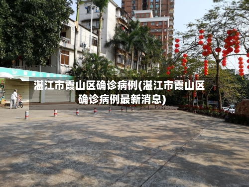 湛江市霞山区确诊病例(湛江市霞山区确诊病例最新消息)-第3张图片