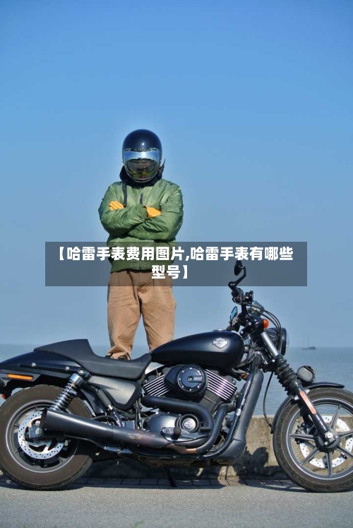 【哈雷手表费用图片,哈雷手表有哪些型号】-第2张图片