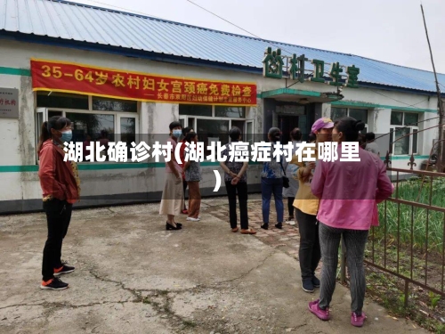 湖北确诊村(湖北癌症村在哪里)-第2张图片