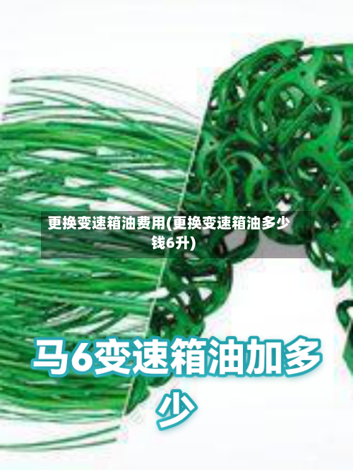 更换变速箱油费用(更换变速箱油多少钱6升)