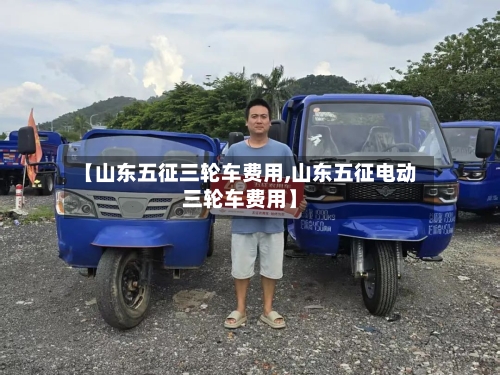 【山东五征三轮车费用,山东五征电动三轮车费用】-第2张图片