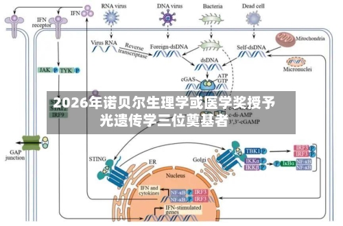 2026年诺贝尔生理学或医学奖授予光遗传学三位奠基者-第2张图片