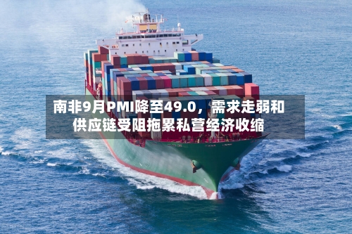 南非9月PMI降至49.0，需求走弱和供应链受阻拖累私营经济收缩-第3张图片