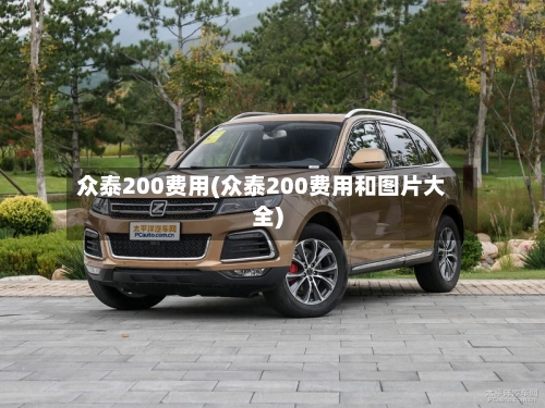 众泰200费用(众泰200费用和图片大全)