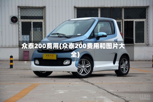 众泰200费用(众泰200费用和图片大全)-第2张图片