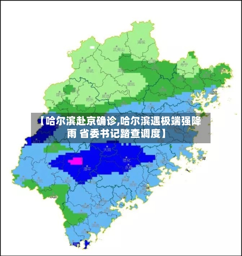 【哈尔滨赴京确诊,哈尔滨遇极端强降雨 省委书记踏查调度】